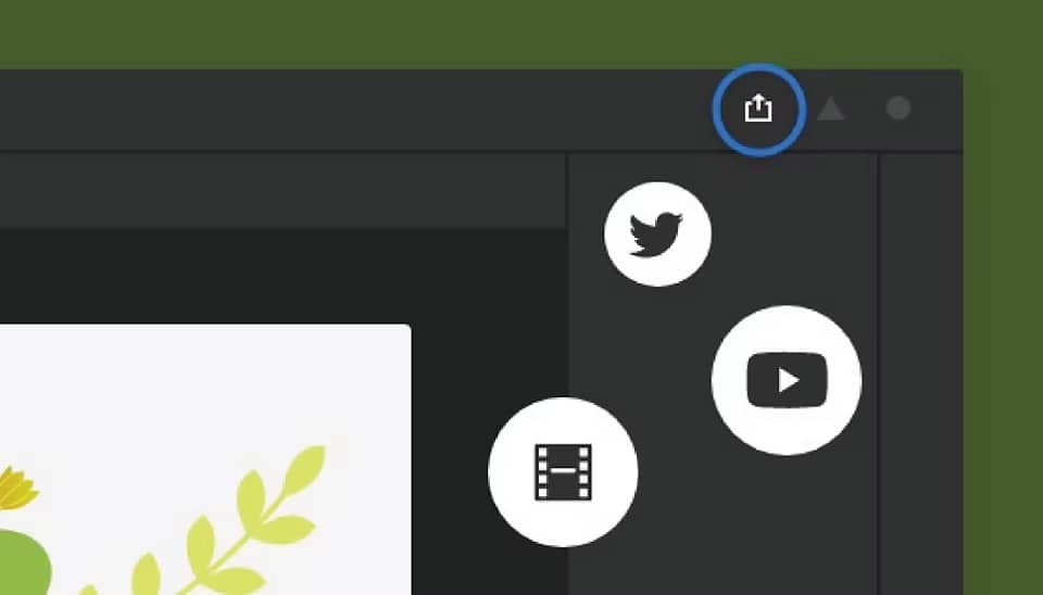 Adobe Animate 2023 – Lifetime Activation For Windows