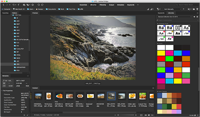 Adobe Bridge 2024 – Lifetime Activation For Windows